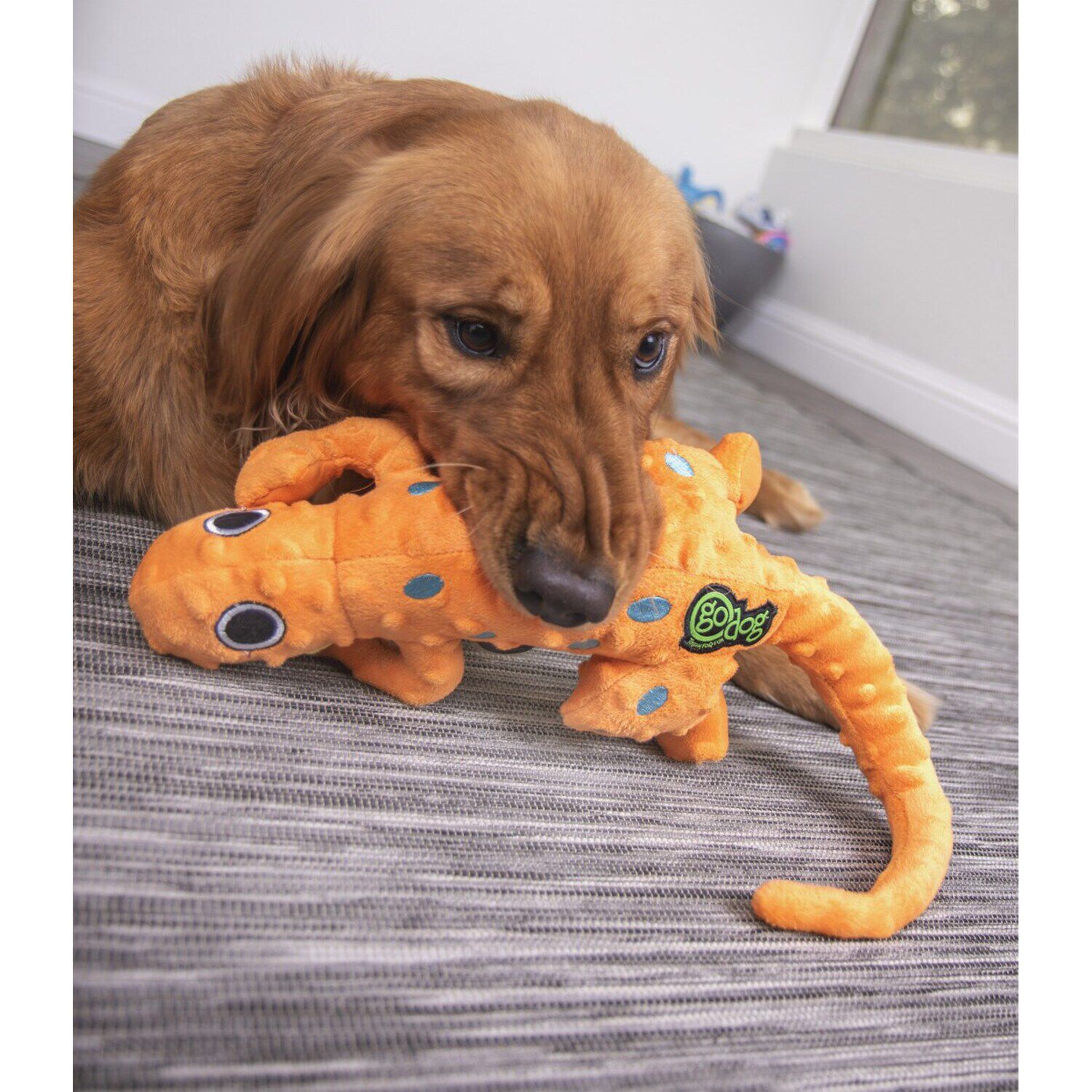 Godog Amphibianz Gecko Squeaky Plush Dog Toy