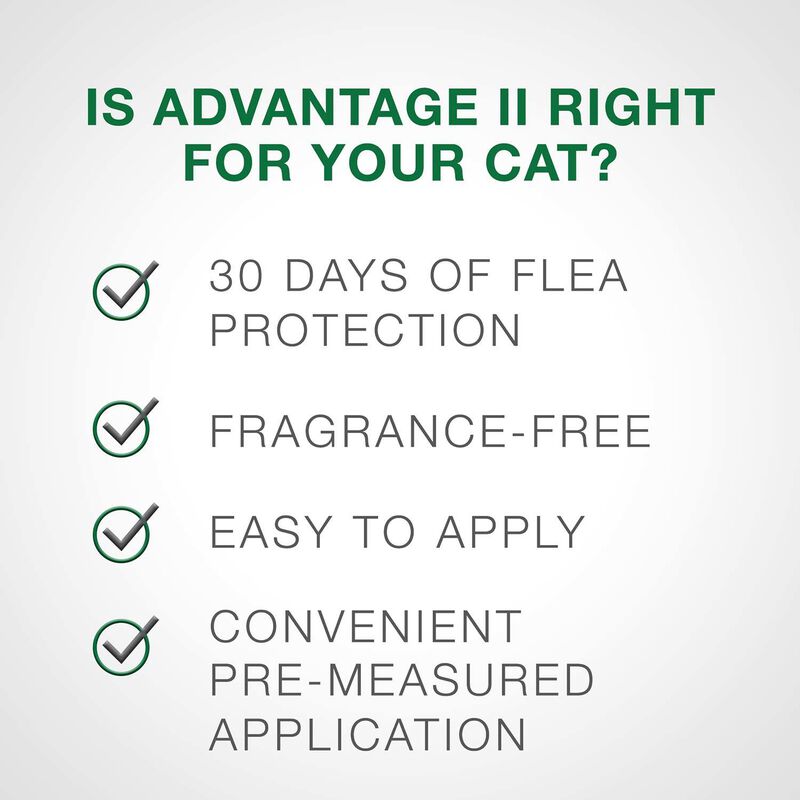 Advantage Ii Flea Treatment For Cats And Kittens, 2 To 5 Lbs image number 5