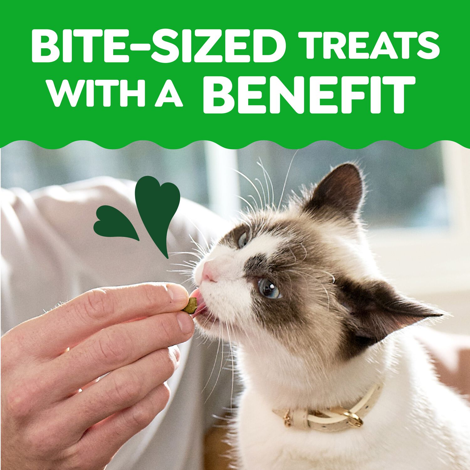 Greenies Feline Smartbites Skin & Fur Health Salmon Flavor Cat Treats, 2.1-Oz