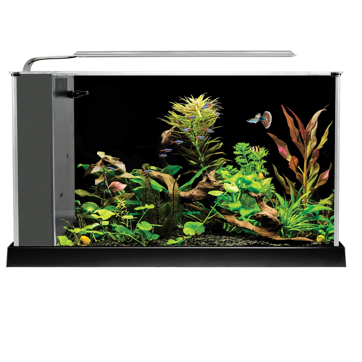 Spec V Aquarium 5.6gal Pet Supermarket