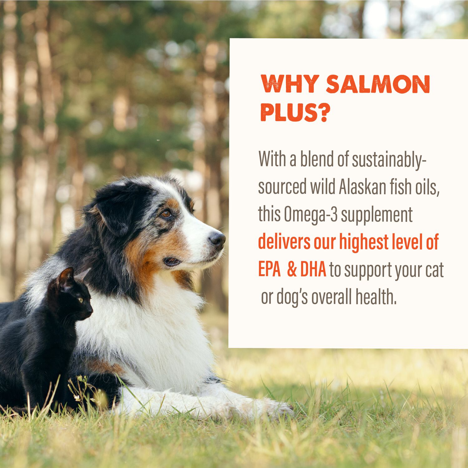 Grizzly Salmon Plus Omega 3-6-9 Cat & Dog Food Supplement, 32-Oz Bottle
