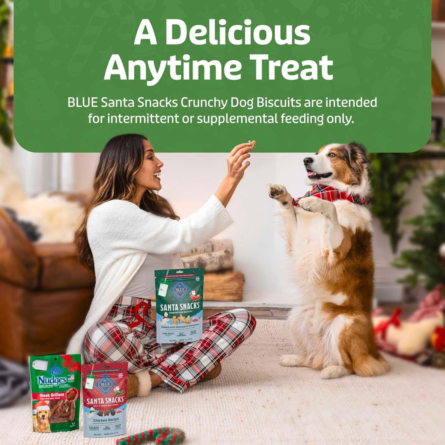 Blue Buffalo Santa Snacks Natural Crunchy Biscuit Dog Treats, Oatmeal & Cinnamon, 11-Oz Bag