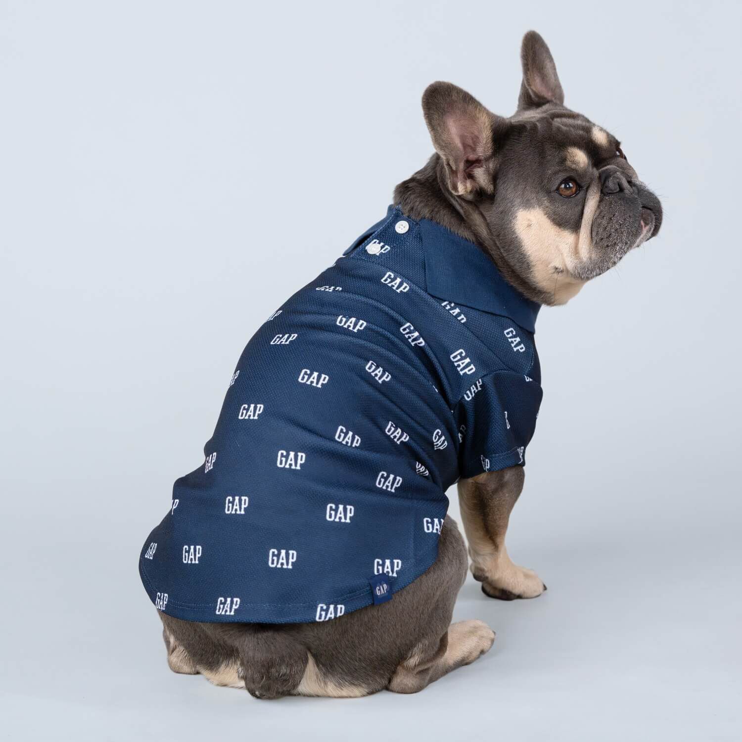 Gap Logo Blue Polo Dog Shirt