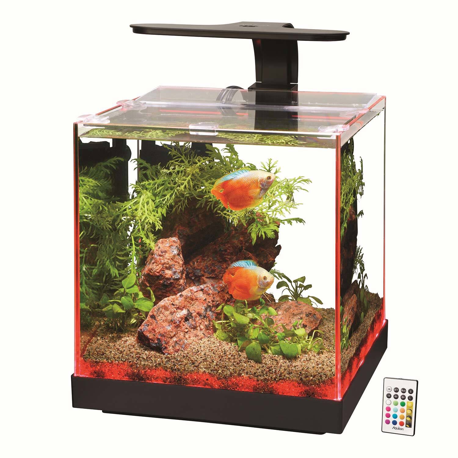 Aqueon Edgelit Rimless Cube Glass Aquariums Size 3 3gal Pet Supermarket