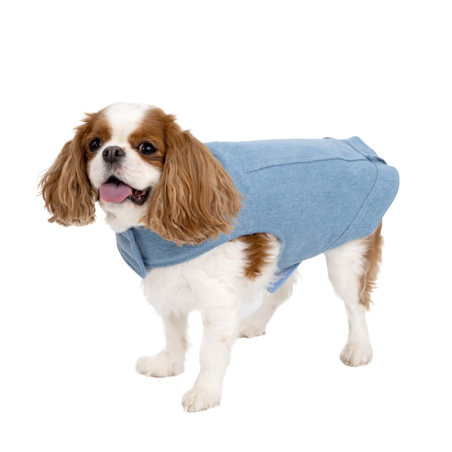 Simply Dog Collared Denim Trucker Lined Dog Jacket