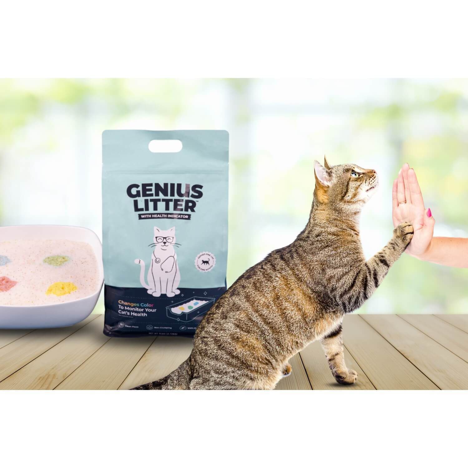 Pet supermarket cat litter top