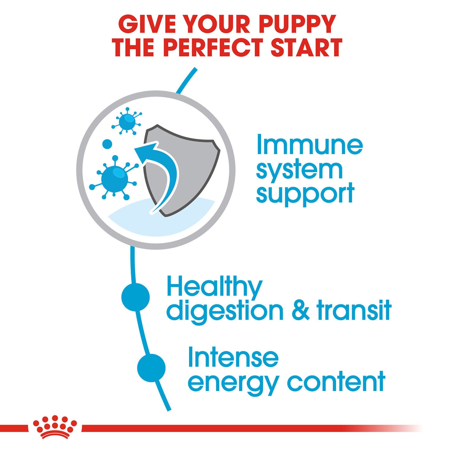 Royal Canin Size Health Nutrition X-Small Puppy Dry Dog Food, 3Lb