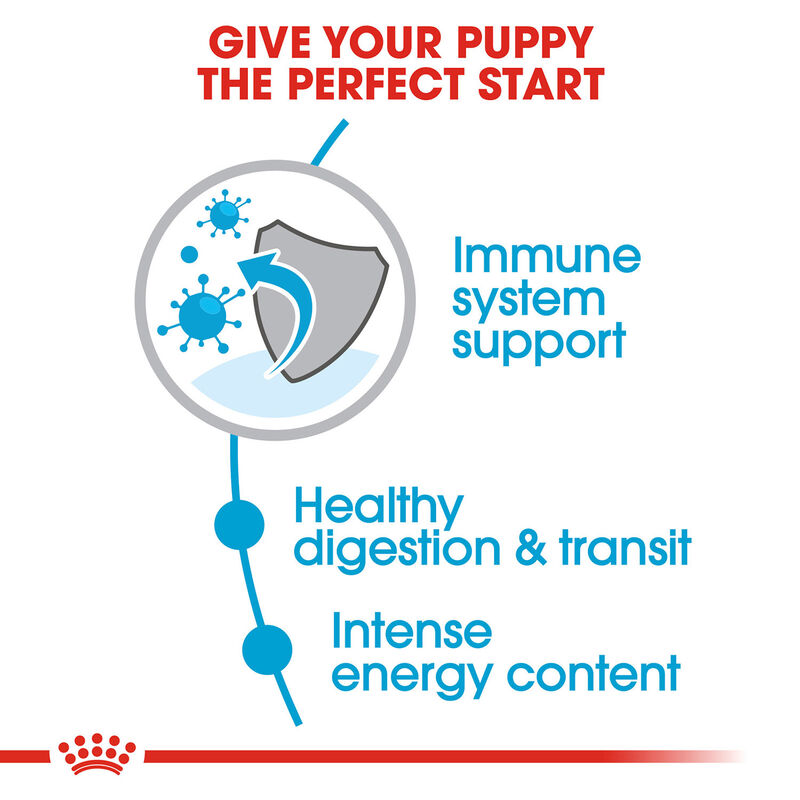 Royal Canin Size Health Nutrition X Small Puppy Dry Dog Food, 3lb