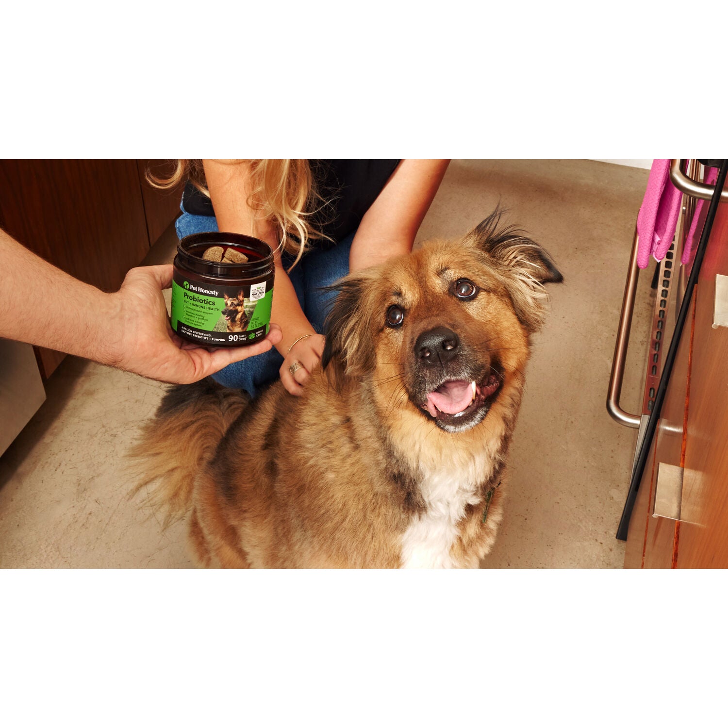 Pet Honesty Probiotics Gut & Immune Health Soft Chew Dog Digestive Health Supplement, Pumpkin Flavor, 90-Count