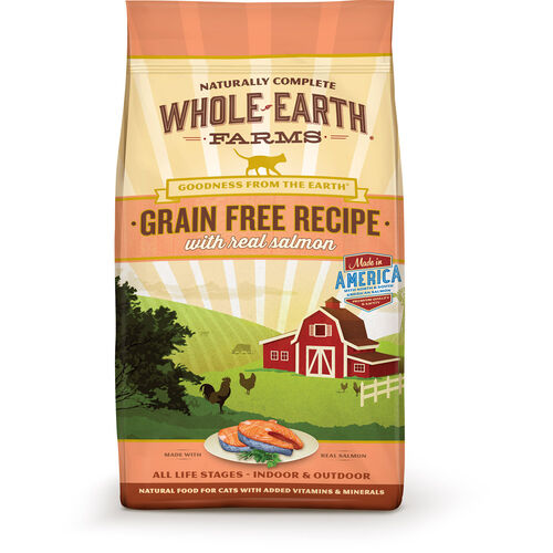 Grain Free Salmon Recipe Cat Food