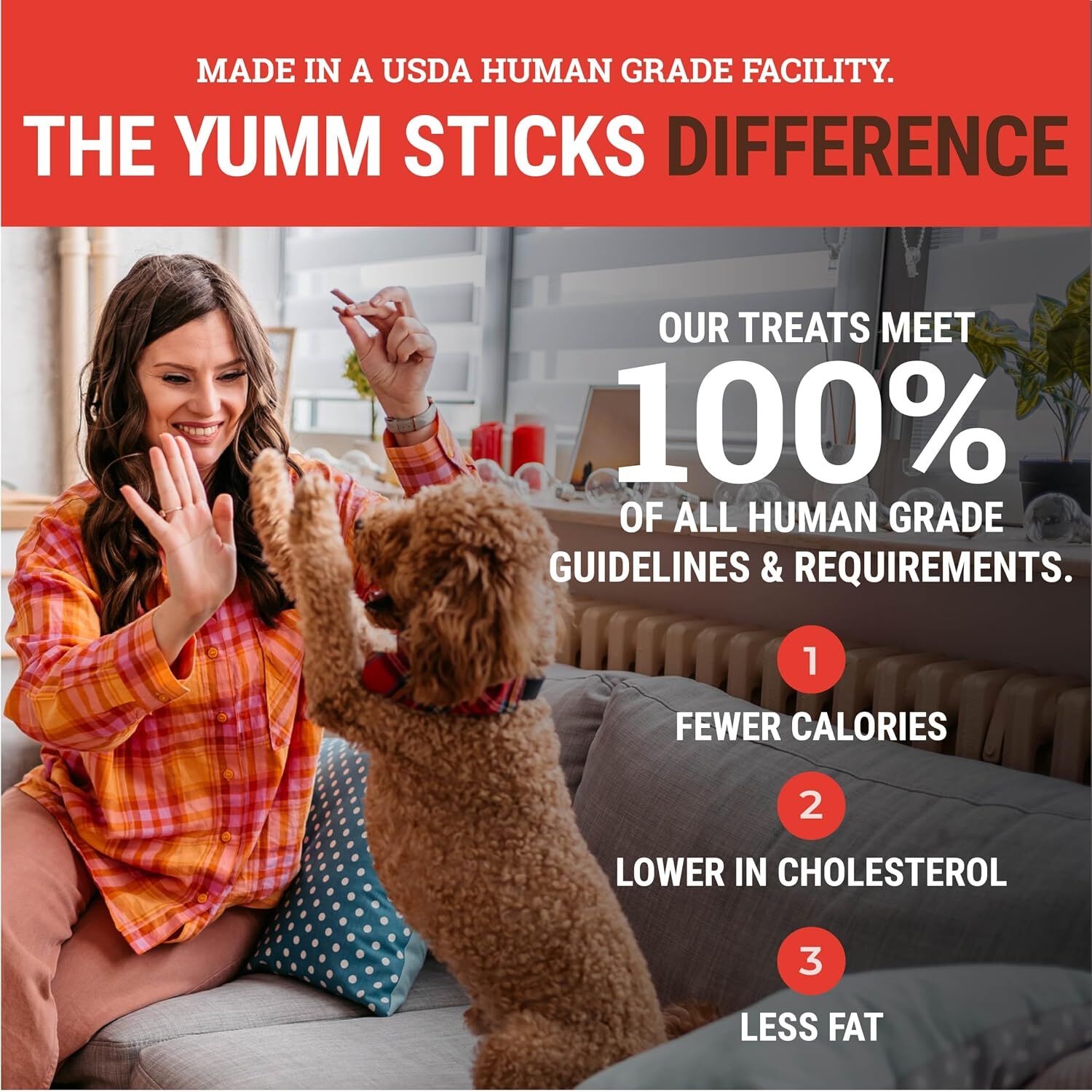 Etta Says! Beef Yumm Stick Dog Treat, 1 Count