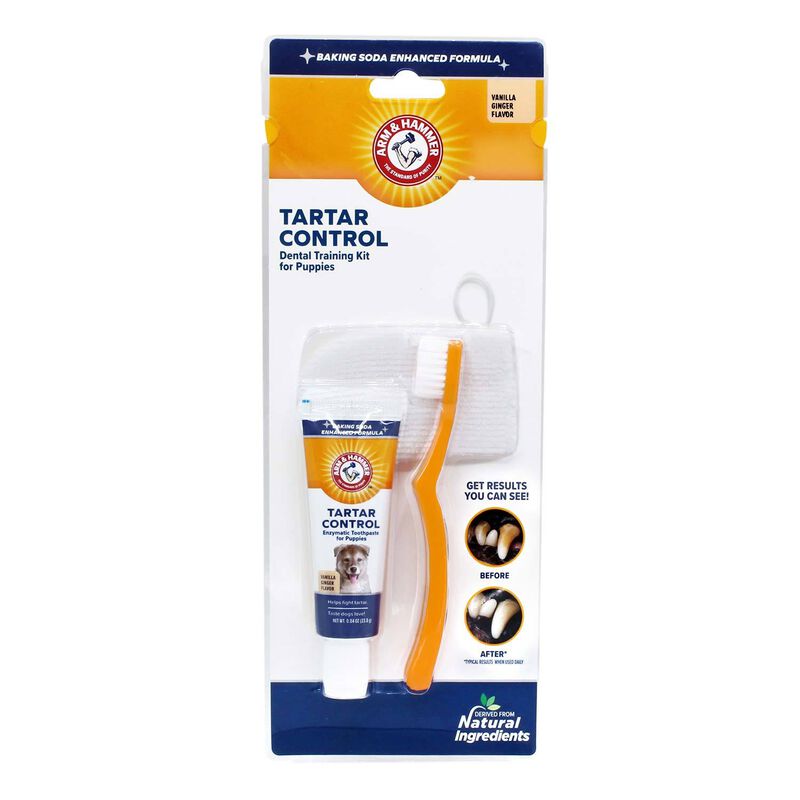 Tartar Control Dental Training Kit For Puppies -  Vanilla Ginger