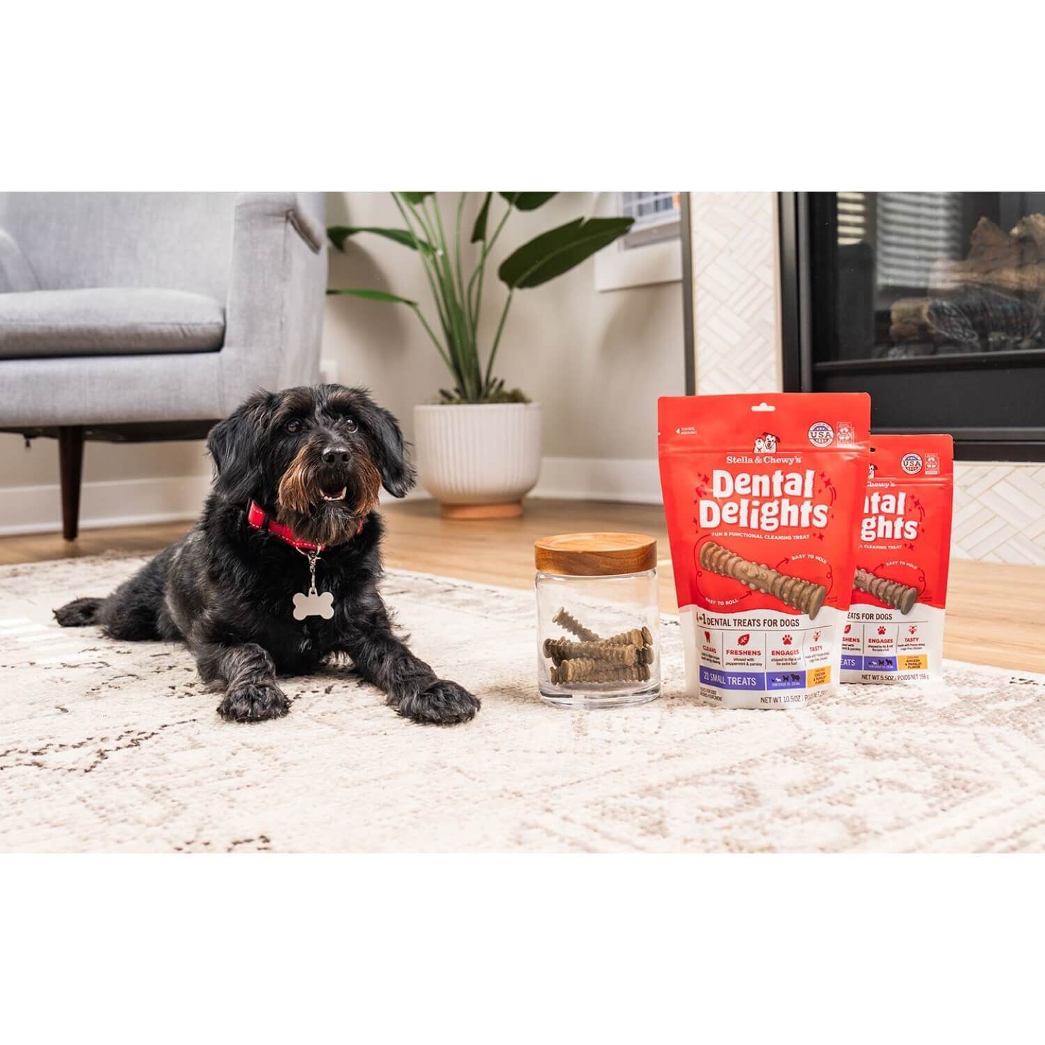 Stella & Chewy's Dental Delights Dog Treats, Small, 11 Count