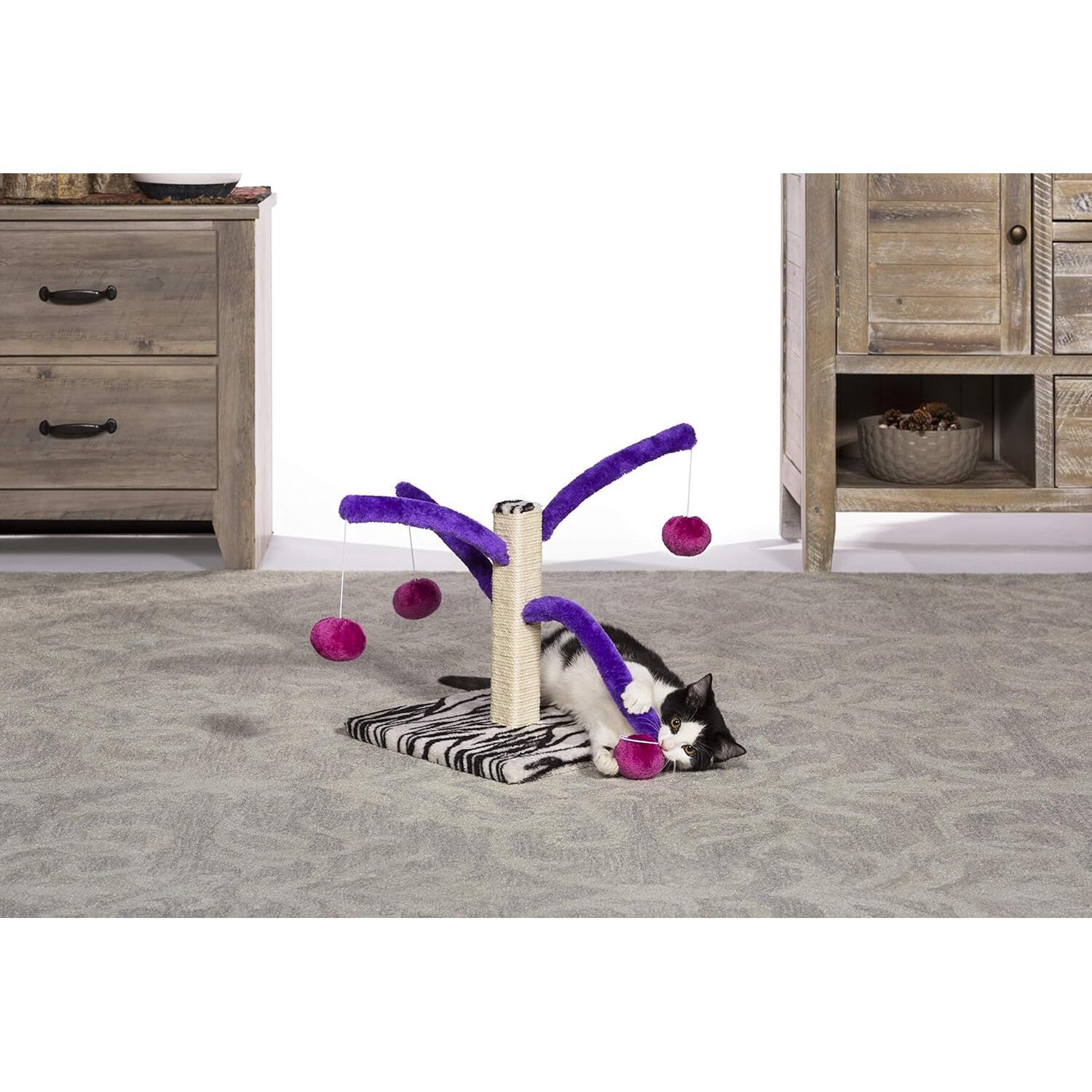 Prevue Pet Products Bounce 'N Spring Cat Scratcher, Multi-Color
