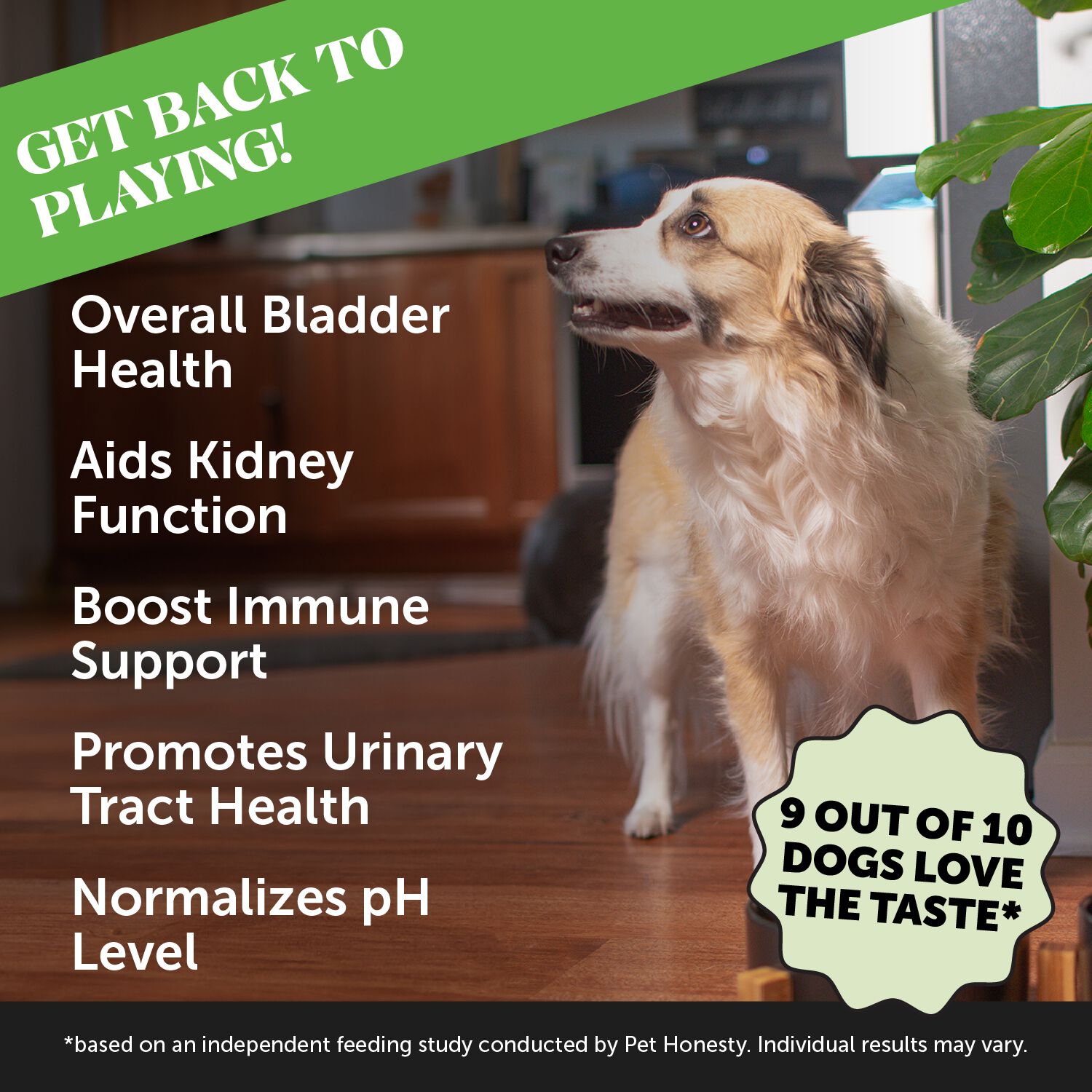 Pet Honesty Bladder Health Cranberry Dog Supplement, Chicken Flavor, 90-Ct