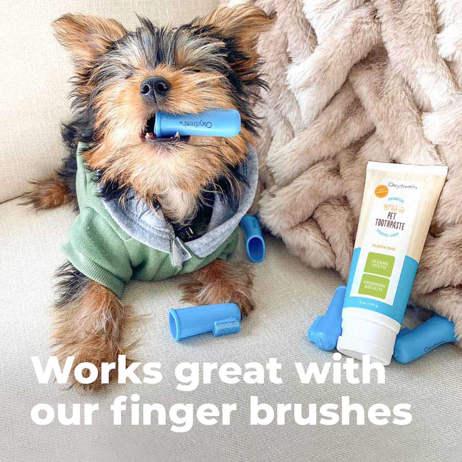 Oxyfresh Premium Vet Formulated Plaque & Tartar Cat & Dog Toothpaste, 4-Fl-Oz Bottle