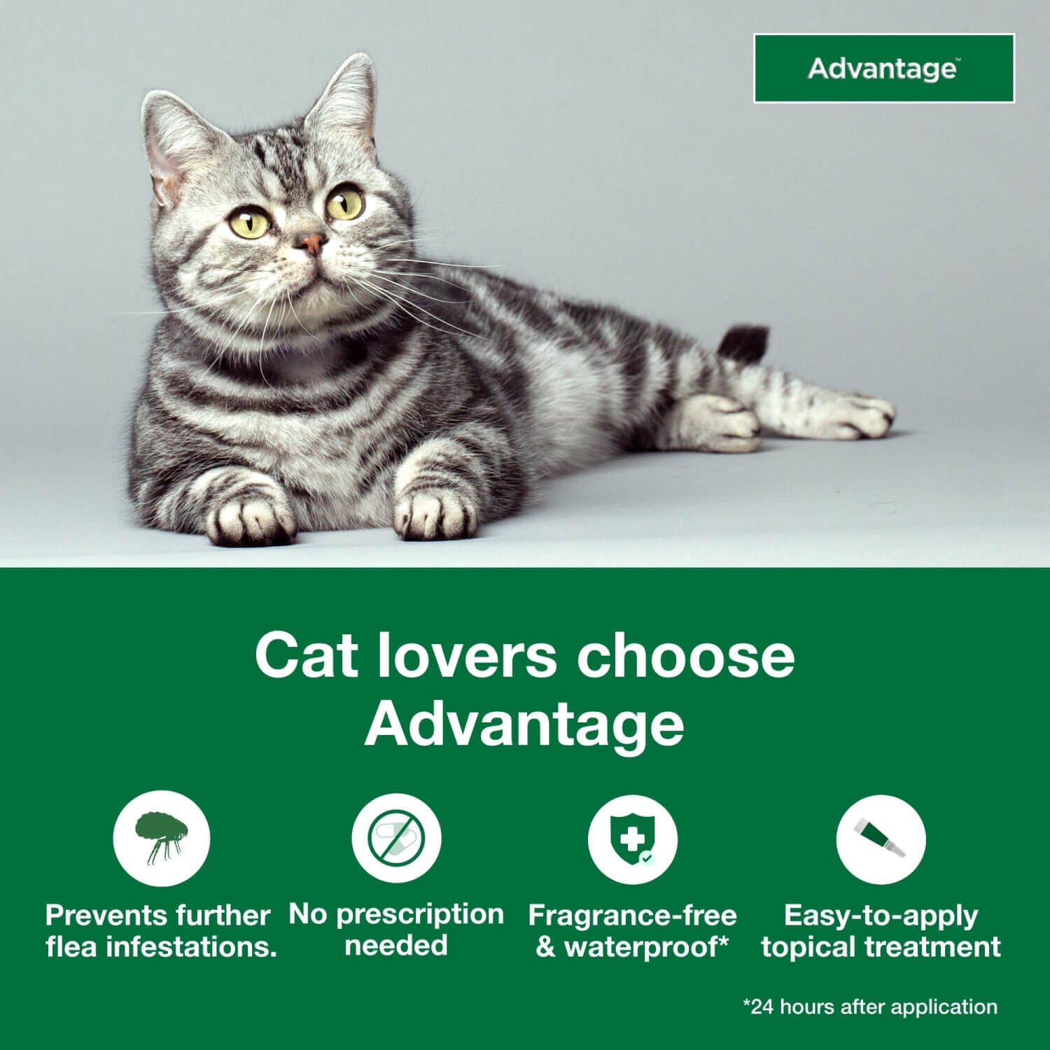Advantage Topical Flea Prevention For Large Cats 9+ Lbs