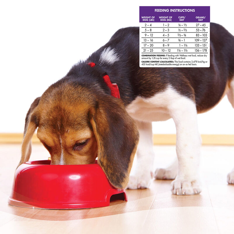 Small Breed Complete Health Senior Dog Food image number 3