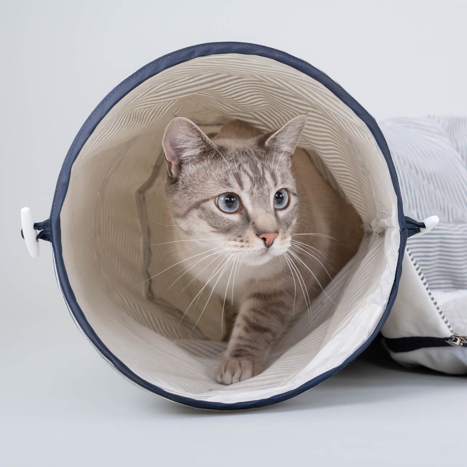 Gap Railroad Stripe Cat Tunnel & Cat Bed