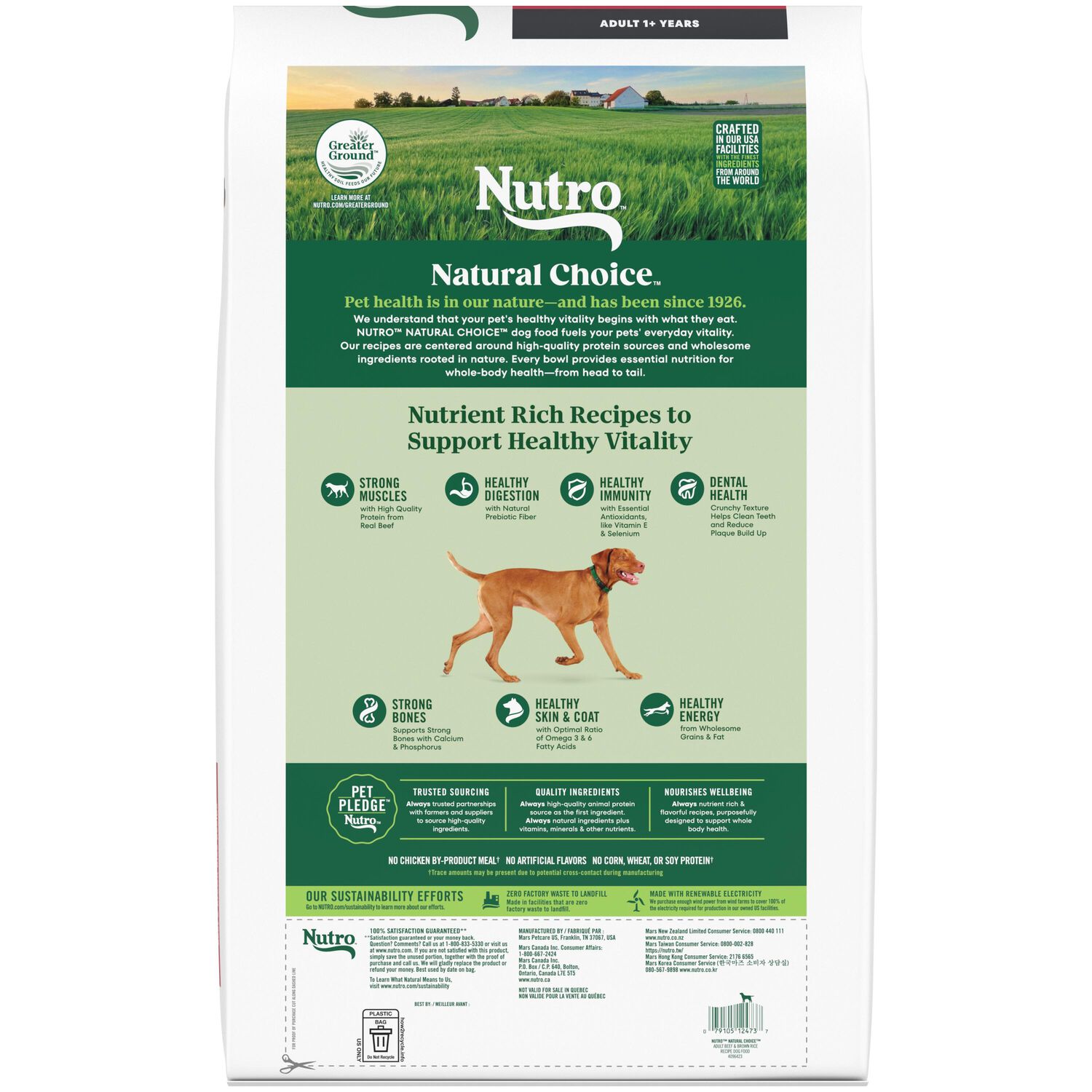 Nutro Natural Choice Beef & Brown Rice Recipe Dry Dog Food, 4.5-Lb