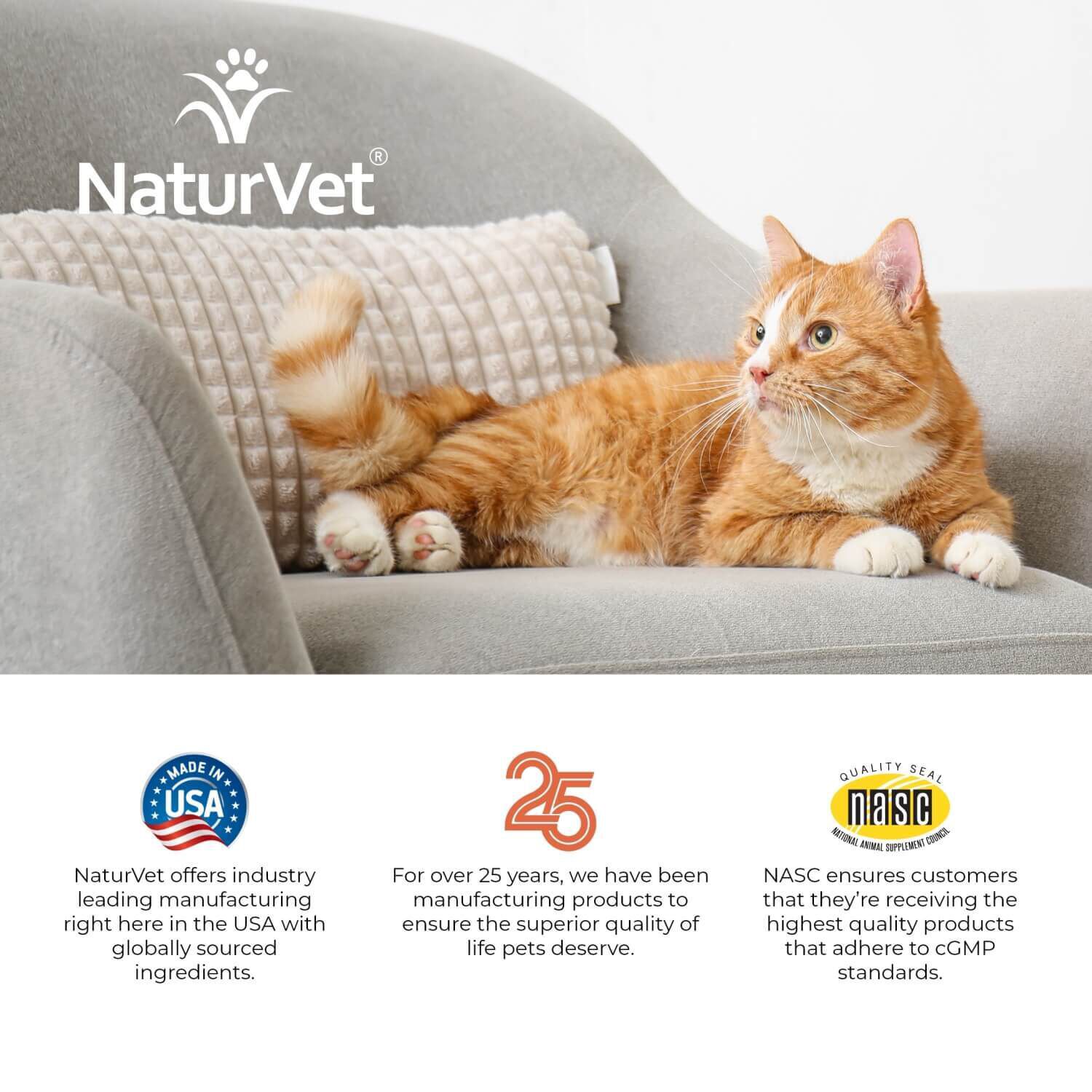 Naturvet Digestive Enzymes Pre+Probiotic Daily Soft Chew Supplement For Cats