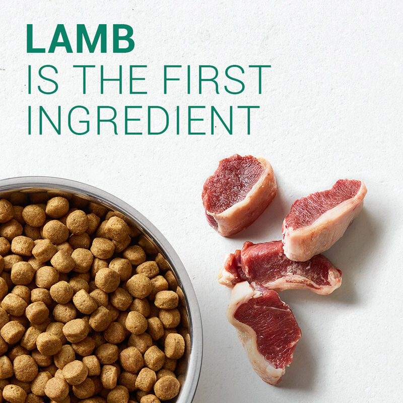 Limited Ingredient Diet Adult Small Bites Lamb & Sweet Potato Recipe Dog Food image number 5