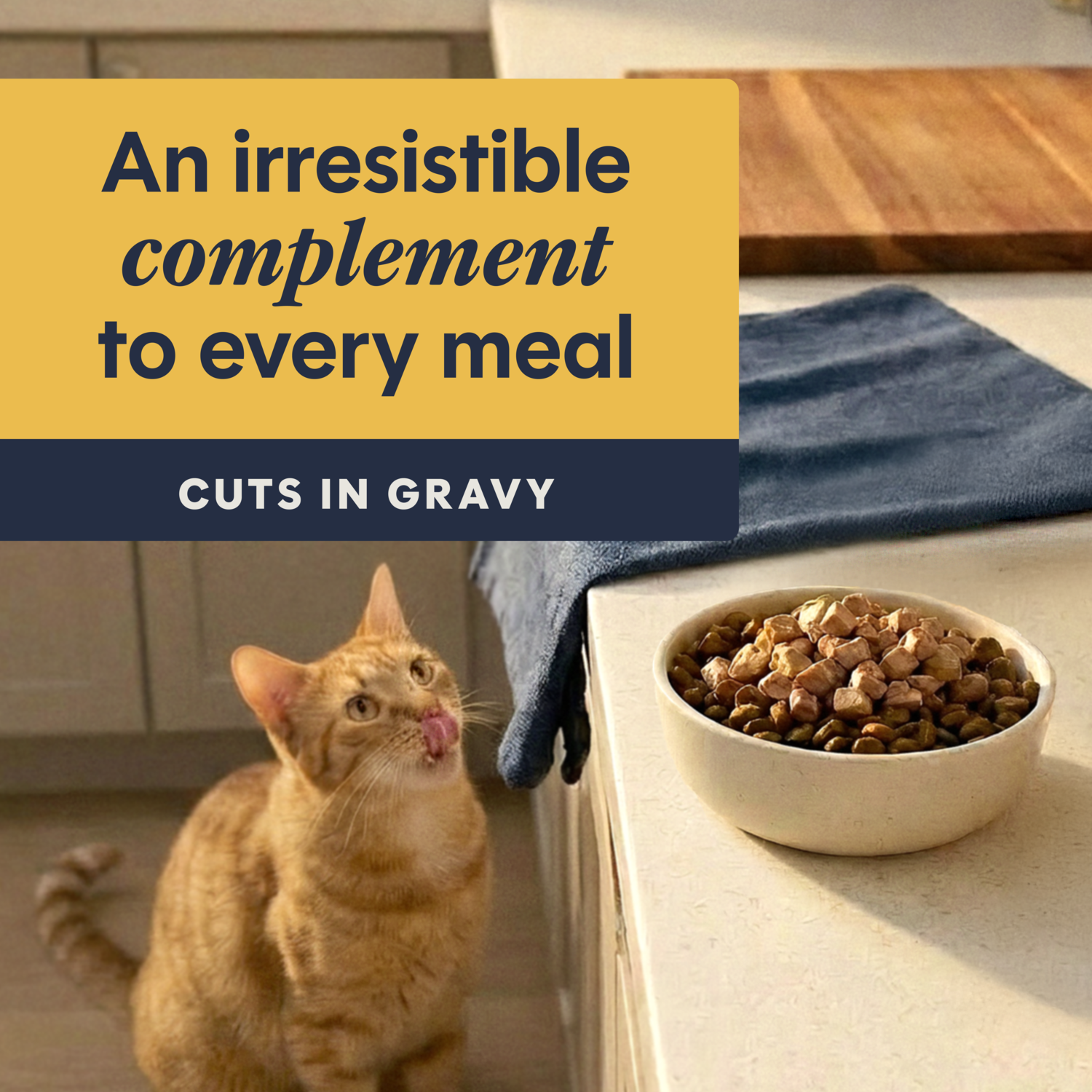 Instinct Healthy Cravings Grain-Free Real Chicken Recipe In Savory Gravy Wet Cat Food Topper, 3-Oz Pack Of 24