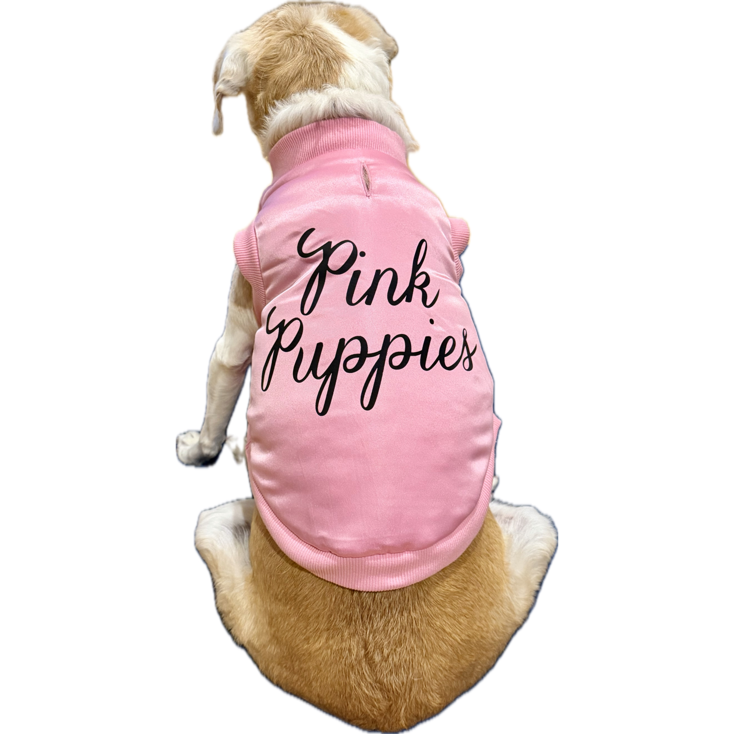 Aristopet Pink Puppies Ribbed Trim Jacket Dog Halloween Costume, Pink