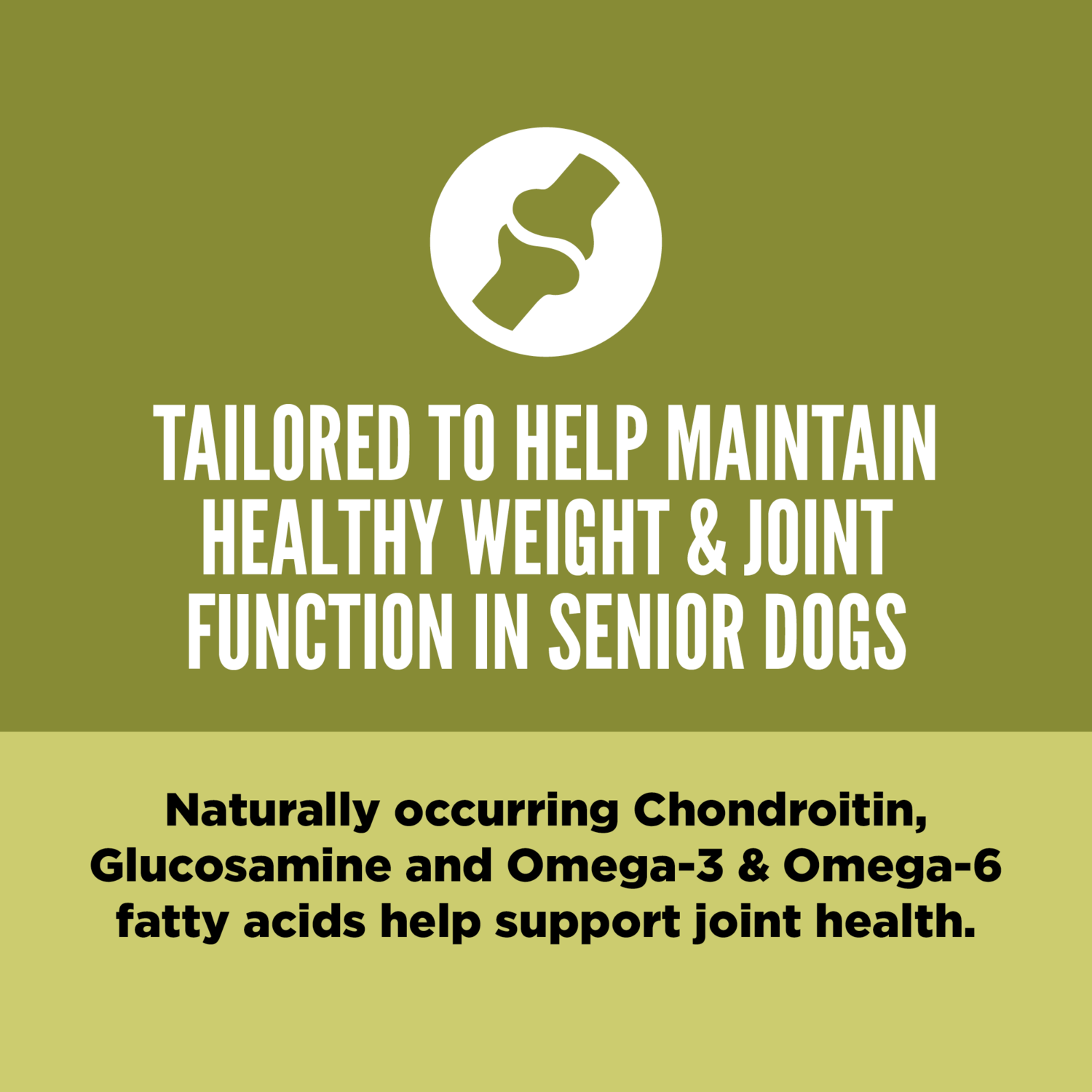 Orijen Senior Grain-Free High-Protein Dry Dog Food, 23.5-Lb Bag