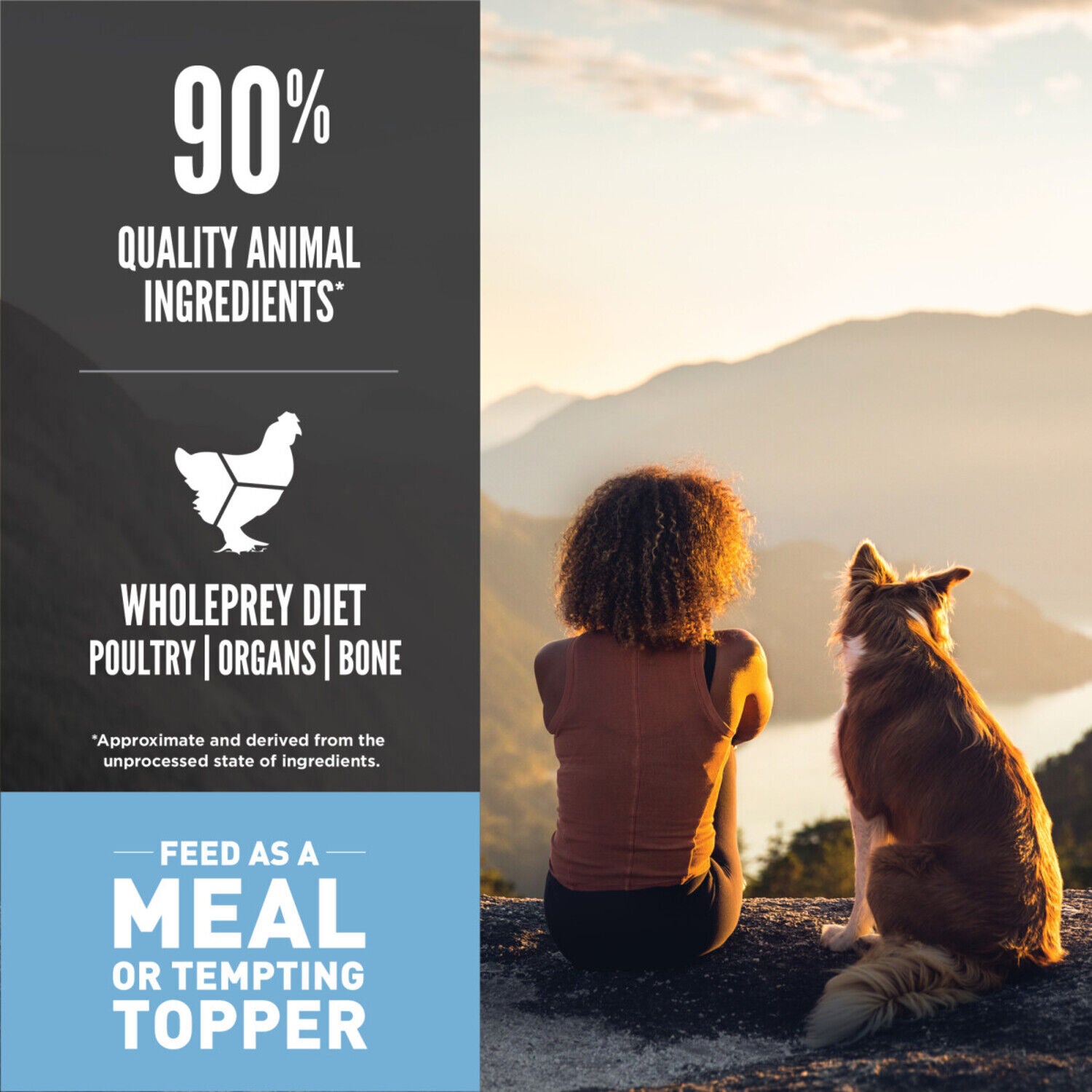 Orijen Grain-Free High-Protein Freeze-Dried Dog Food & Topper, Original Recipe, 16-Oz