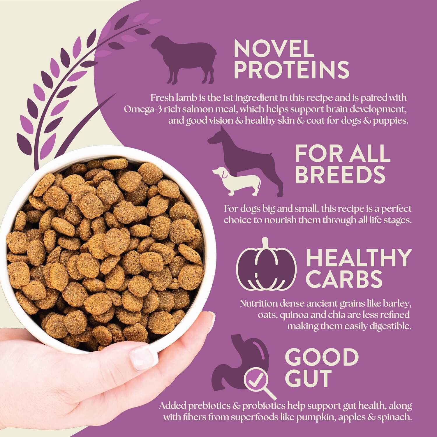 Earthborn Holistic Unrefined Roasted Lamb With Ancient Grains & Superfoods Dry Dog Food, 25-Lb Bag