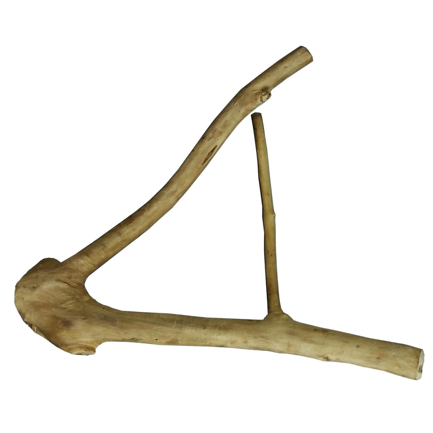 A&E Cage Small Java Wood Multi Branch Perch For Birds