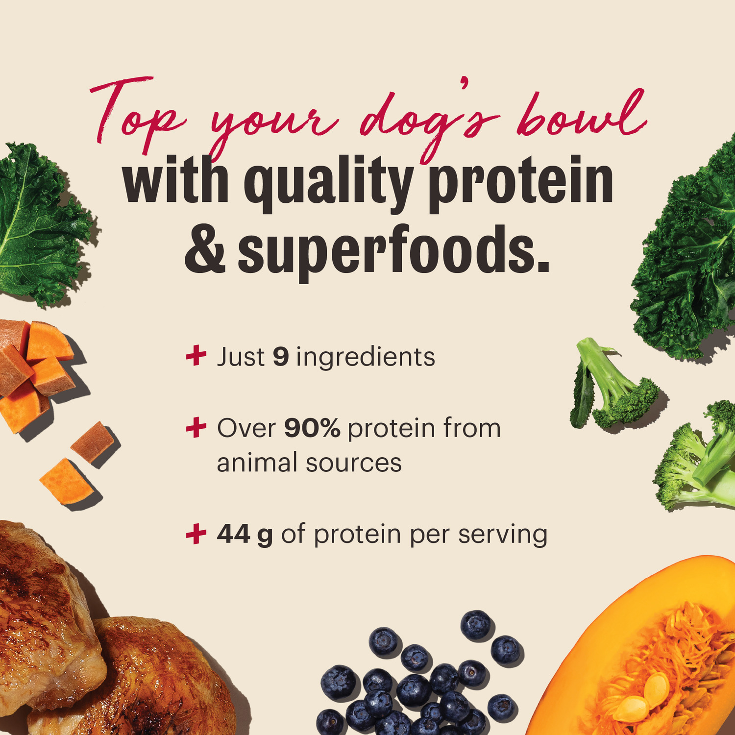The Honest Kitchen Protein Plus+ Grain Free Chicken & Superfoods Dehydrated Dog Food Topper, 12-Oz