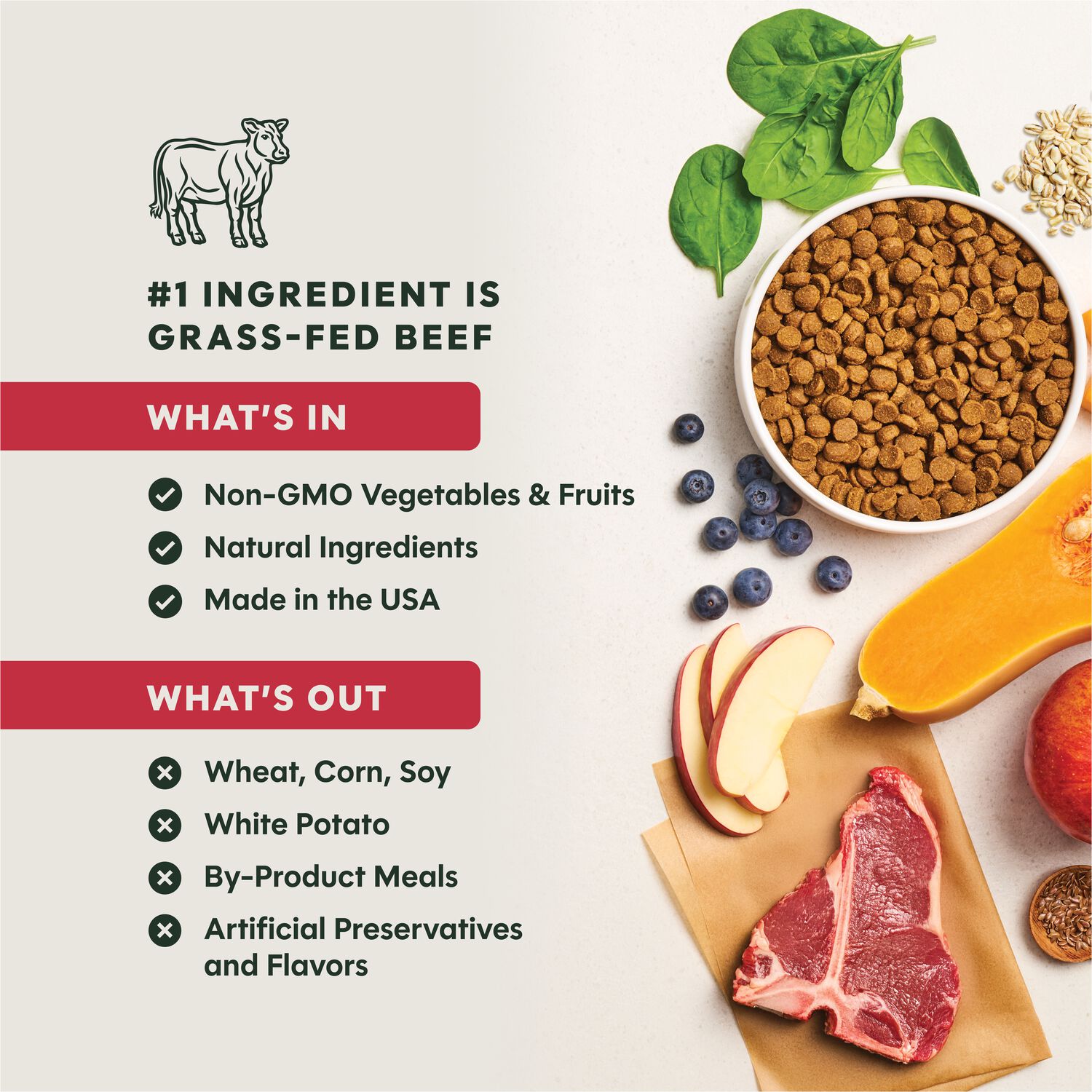 Instinct Be Natural Beef & Barley Recipe Dry Dog Food, 4.5-Lb Bag