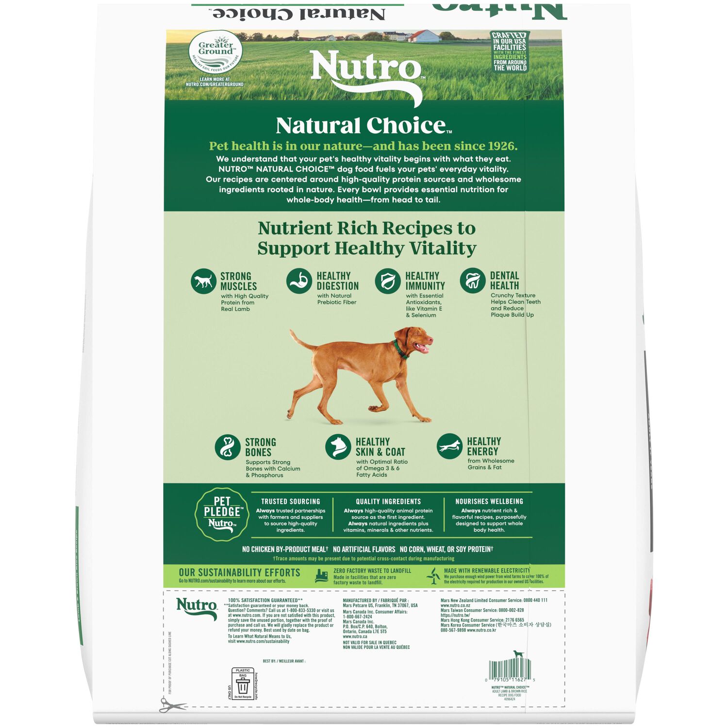 Nutro Natural Choice&nbsp;Lamb & Brown Rice Recipe Dry Dog Food, 30-Lb Bag