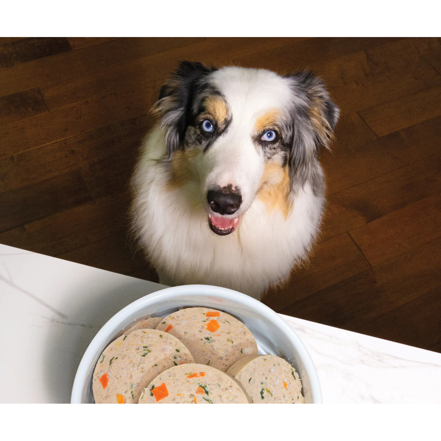 Open Farm Goodbowl Turkey & Salmon Recipe Frozen Dog Food