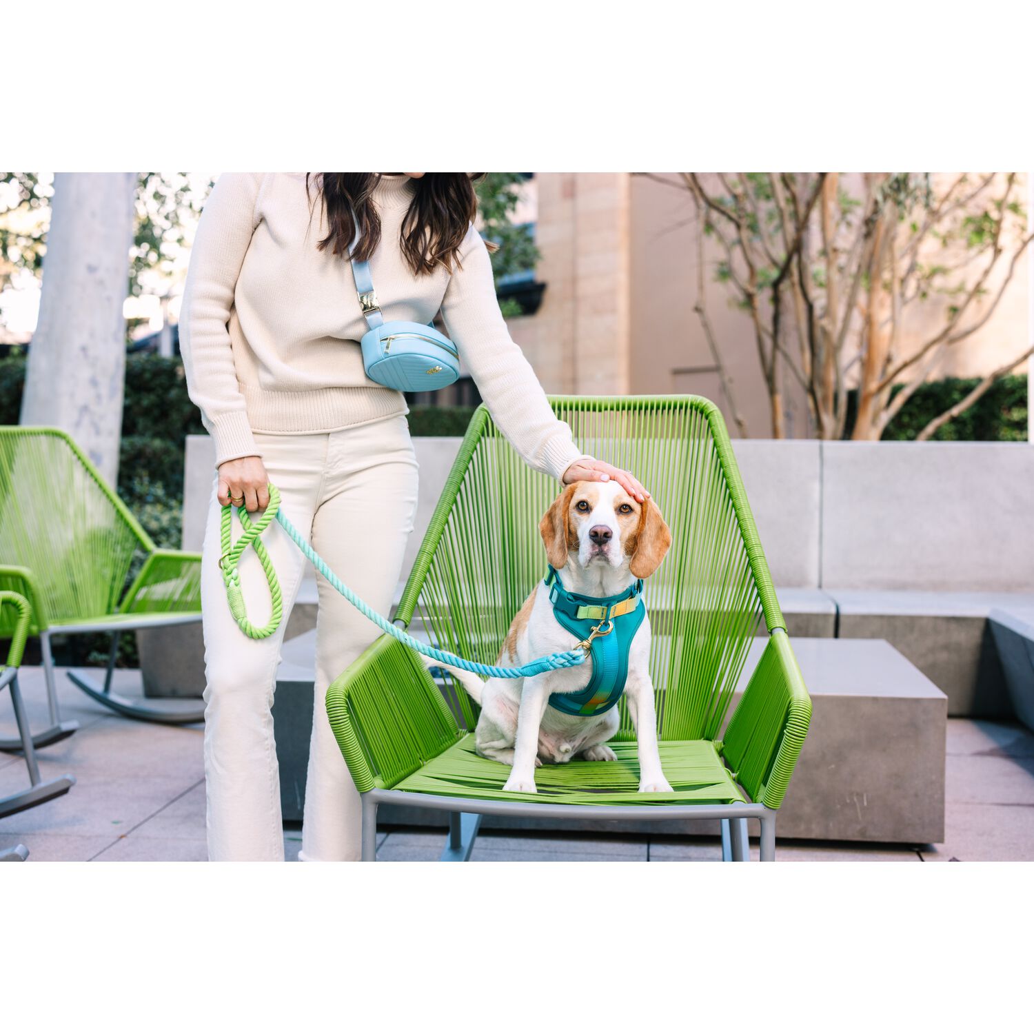 Pink Papyrus Joey Dual Clip Versitle Buckle Adjustable Dog Harness, Teal , Extra Small