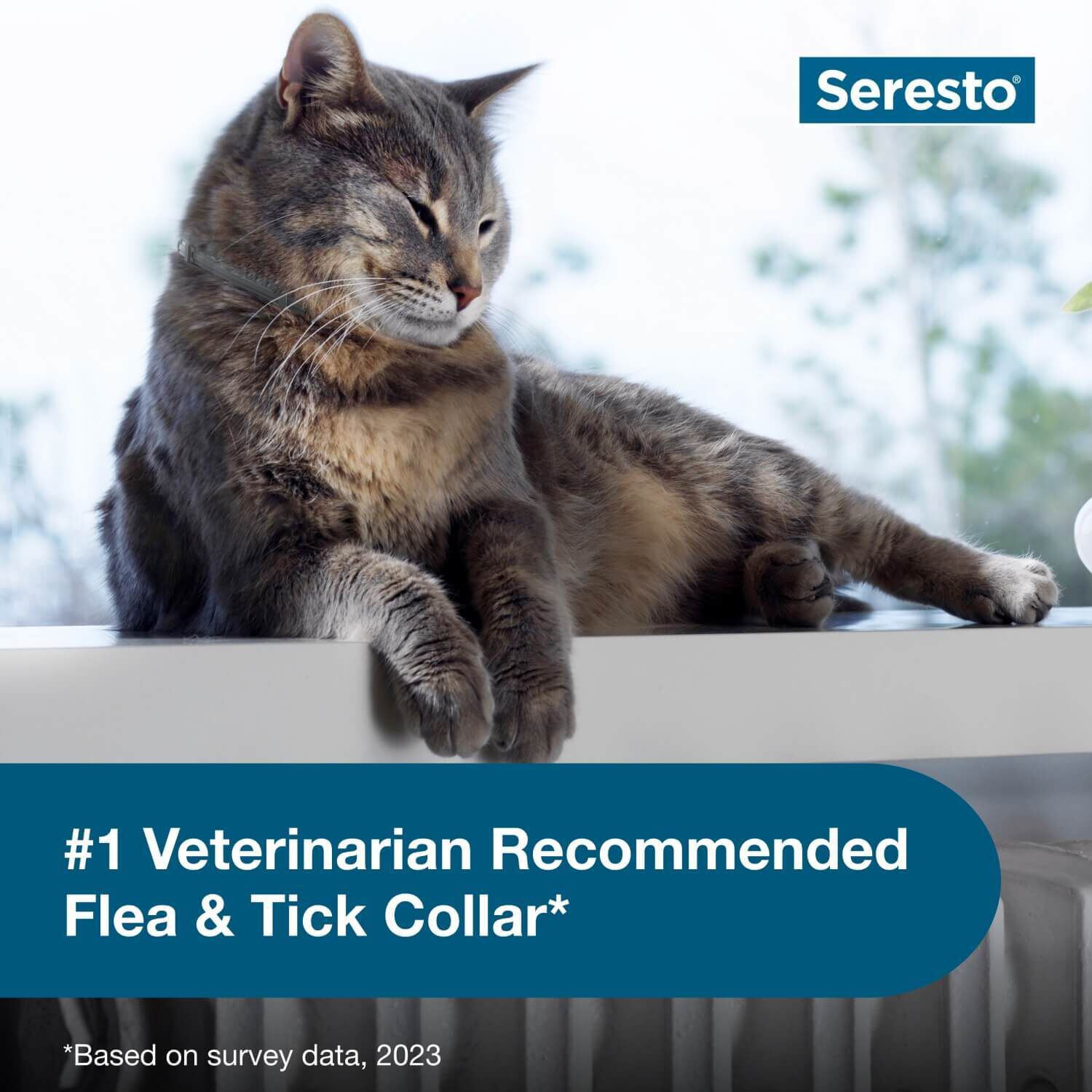 Seresto Flea & Tick Treatment & Prevention Collar For Cats, 8 Months Protection