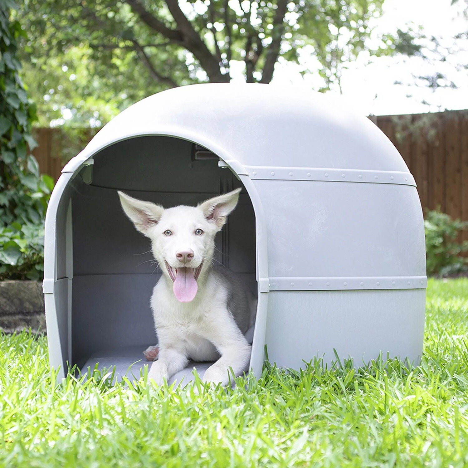 Petmate Husky Outdoor Dog House, Large 50-90-Lb Dogs