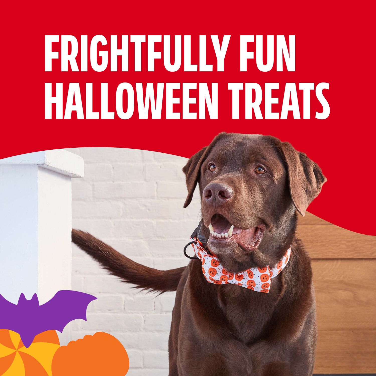 Milk-Bone Spooky Halloween Crunchy Biscuits Dog Treats, 24-Oz