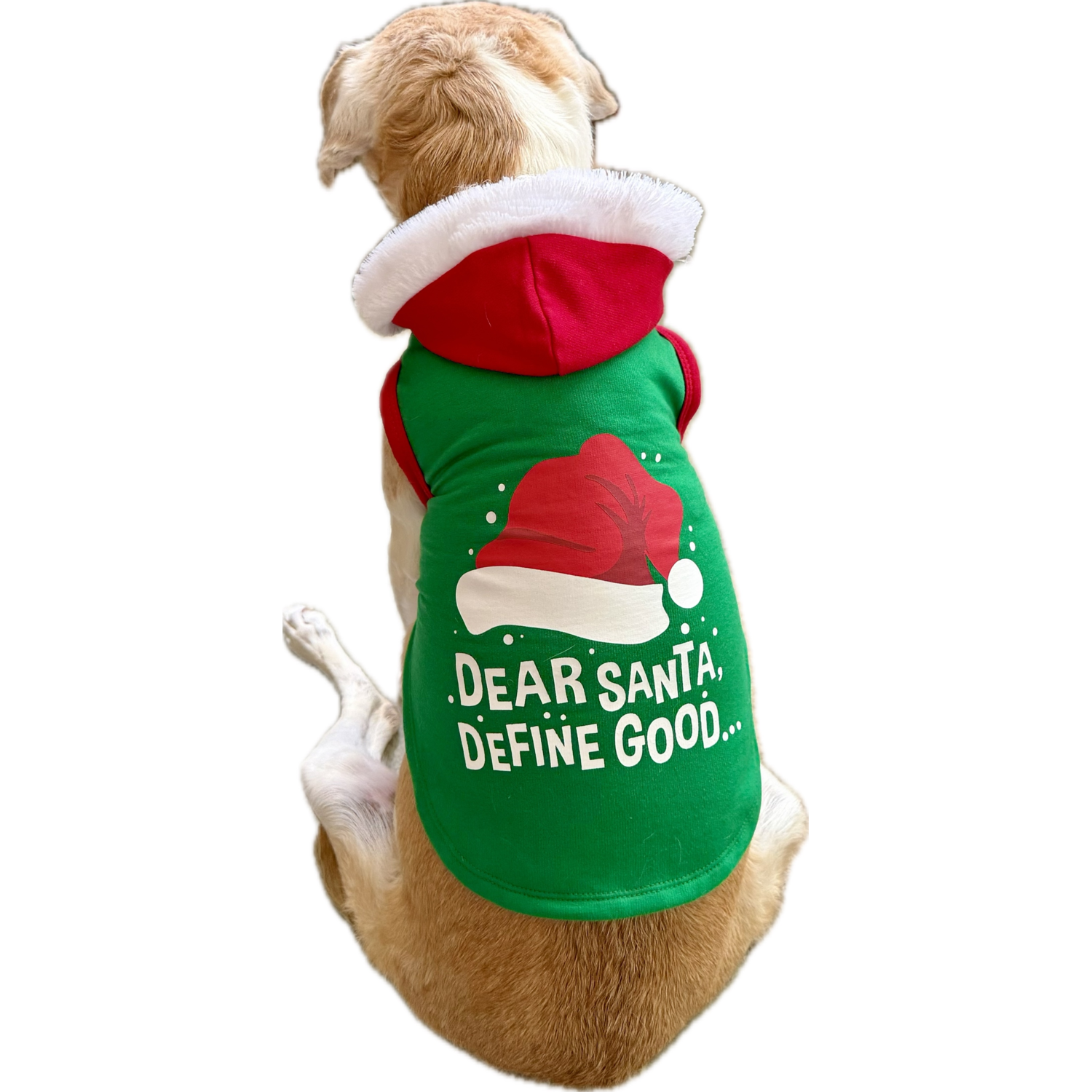Aristopet Holiday Green Dear Santa Define Good Pullover Dog Hoodie, Extra Large