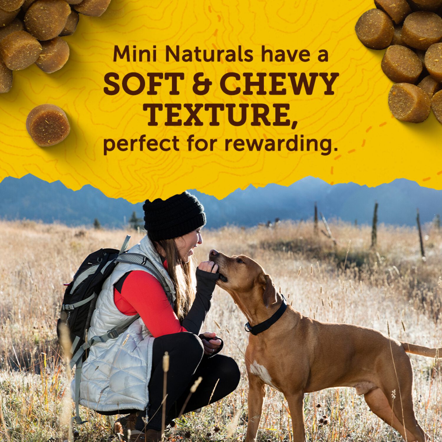 Zuke&rsquo;S Mini Naturals Chicken Recipe Soft & Chewy Dog Treats, 1-Lb Bag