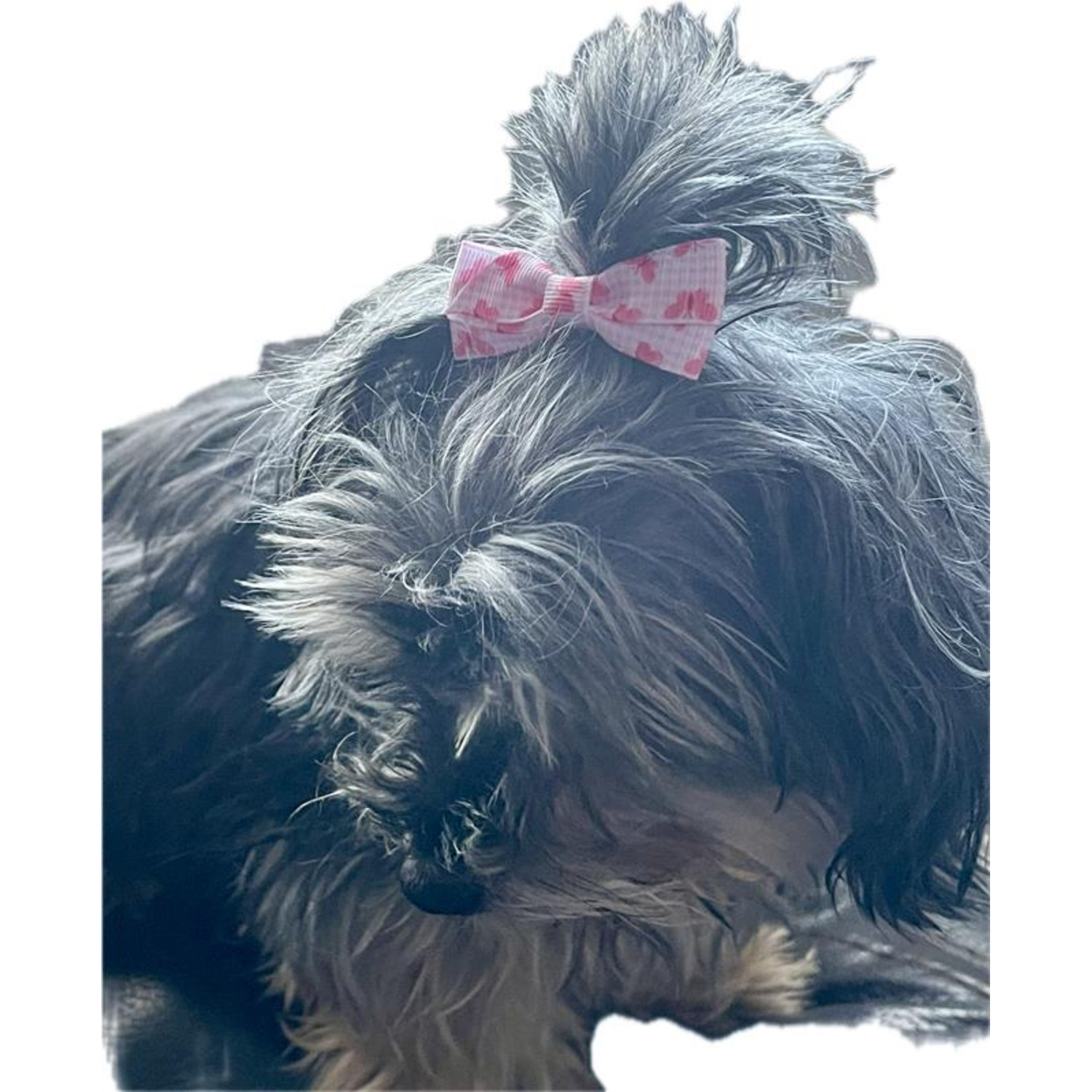 Bailey & Bella Pink Gingham Butterfly Dog Hair Bows, 2-Pack