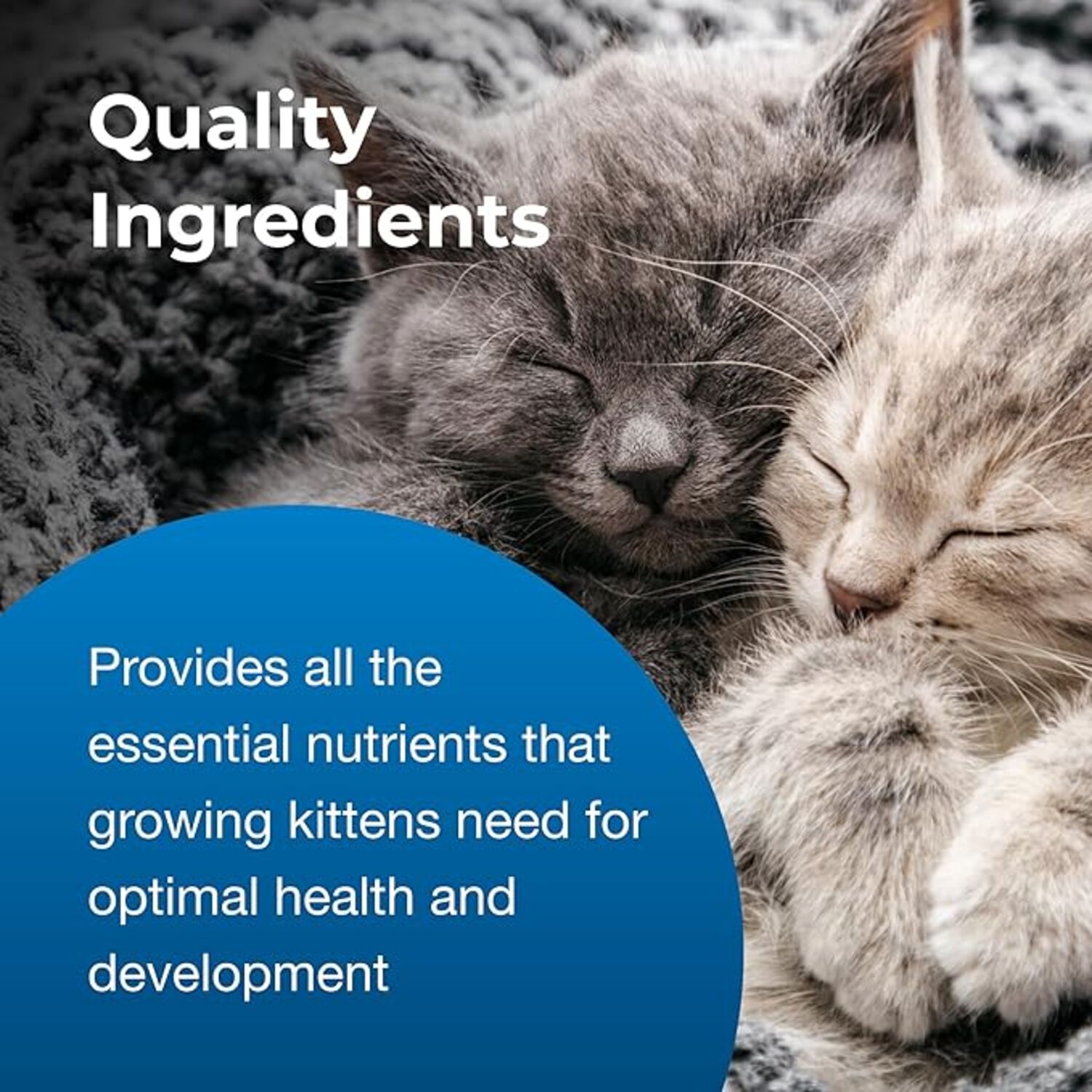 Petag Kmr Goat's Milk Liquid Kitten Milk Replacer Supplement, 16-Oz
