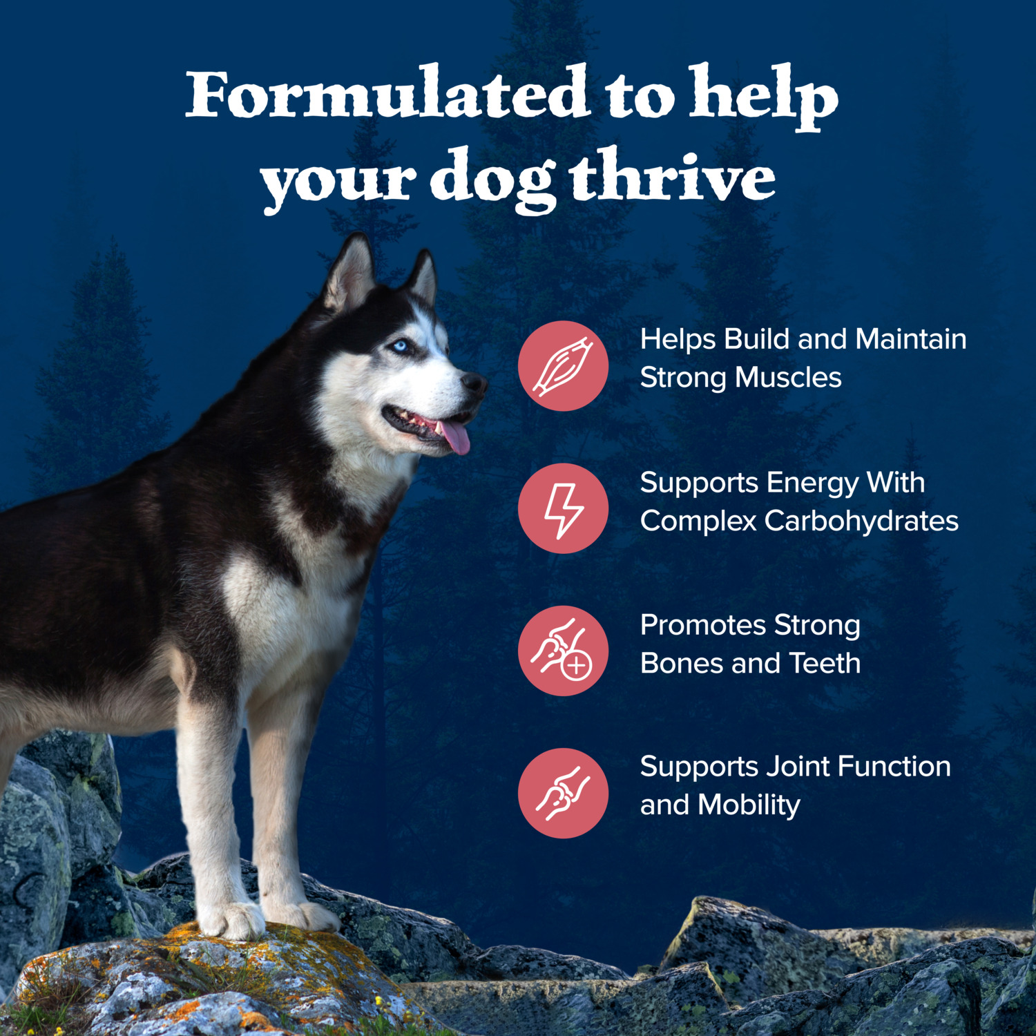 Blue Buffalo Wilderness High Protein Natural Adult Dry Dog Food Plus Wholesome Grains, Salmon, 24Lb