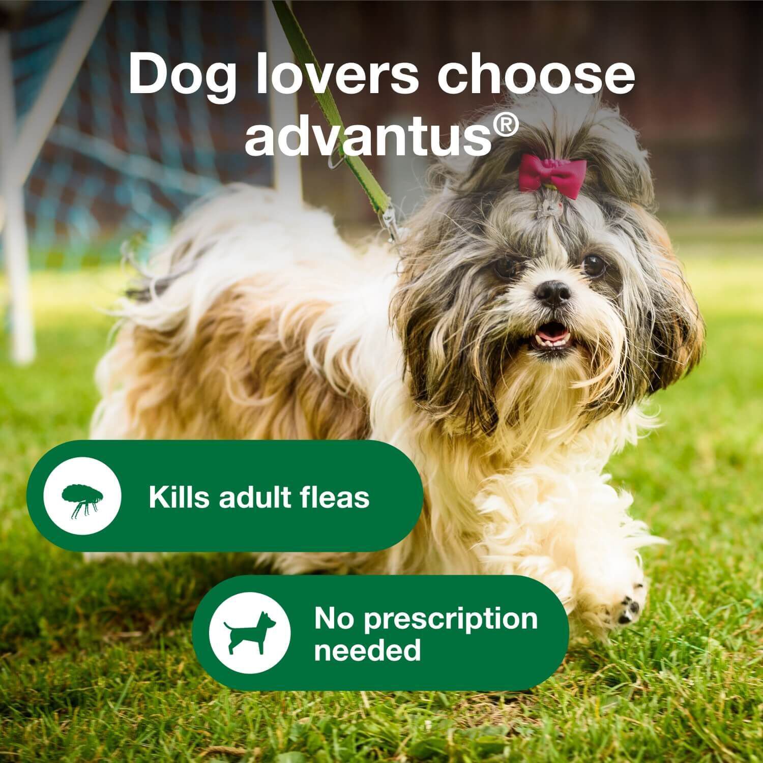 Advantus Oral Flea Treatment For Dogs, 4-22 Lbs