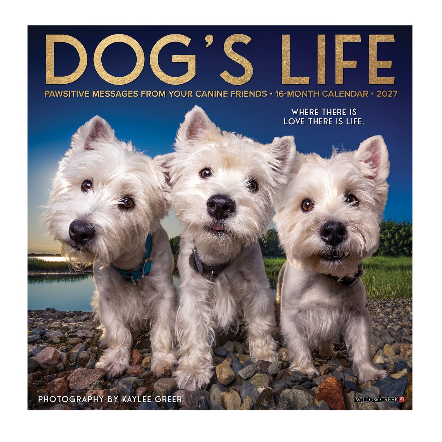 Willow Creek Press Dog's Life 2027 12" X 12" Wall Calendar
