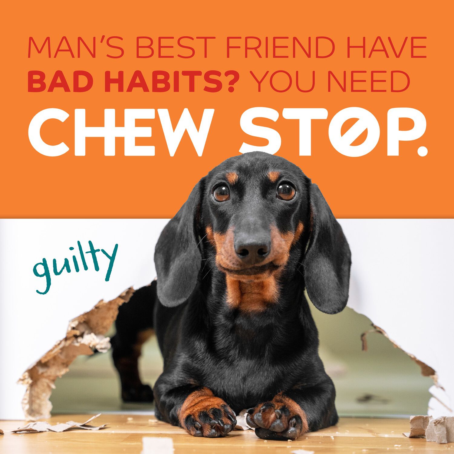 Tropiclean Chew Stop Behavior Aid Home Dog Training Spray, 8Oz
