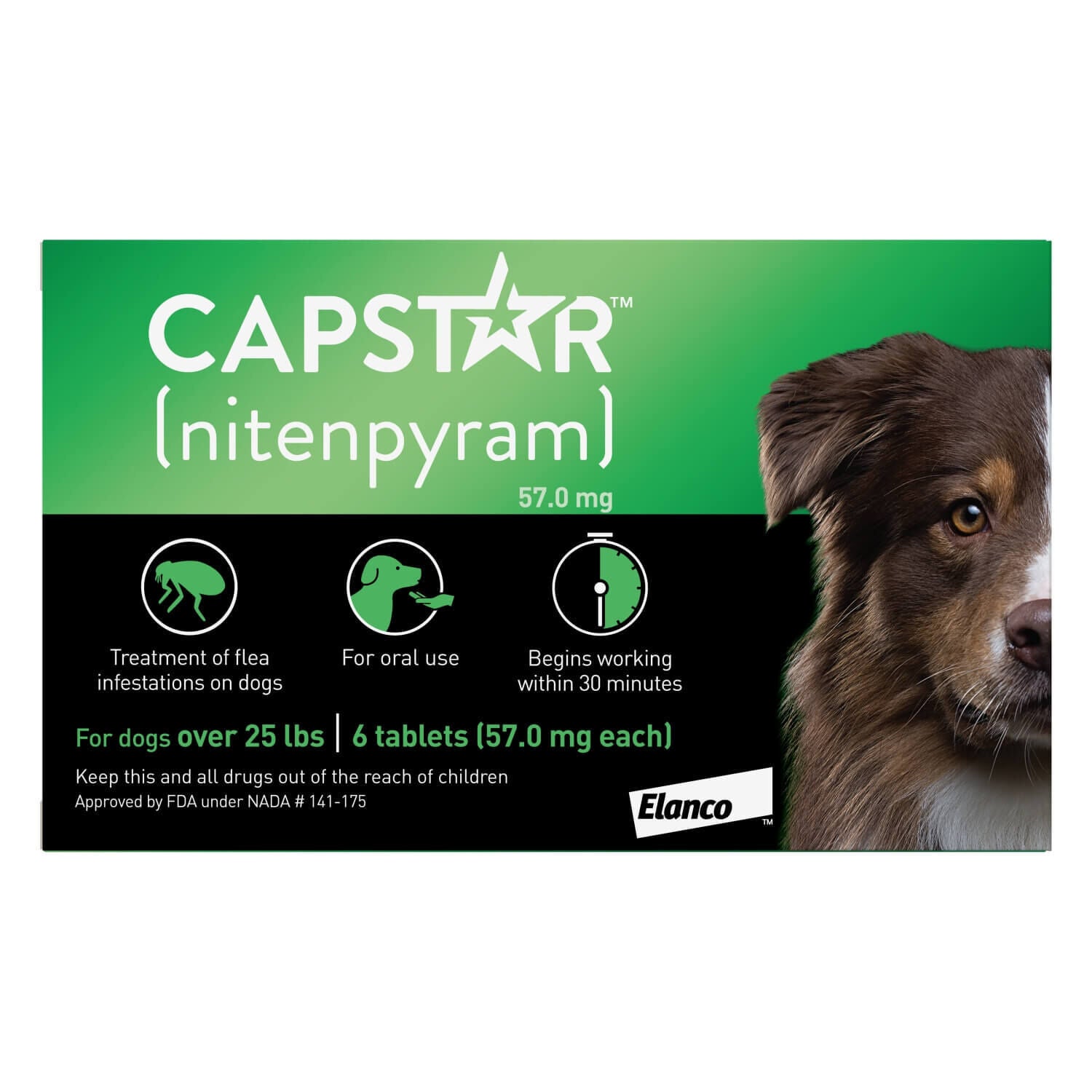 Oral flea treatment top