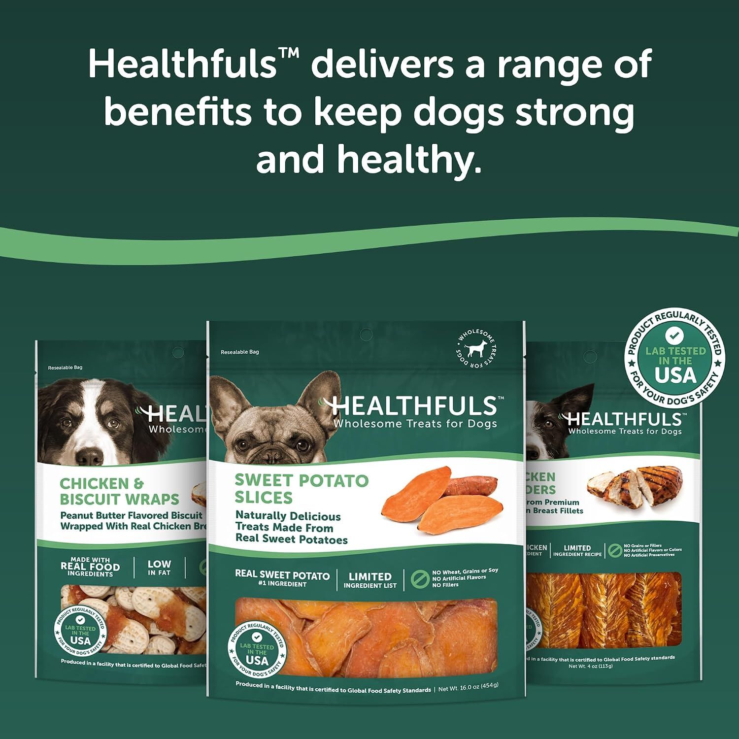 Healthfuls Sweet Potato Slices Natural Dog Treats, 1-Lb Bag